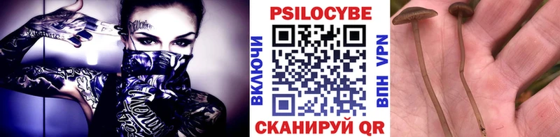 Псилоцибиновые грибы прущие грибы Южноуральск
